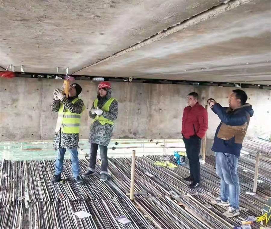 嘉禾县车头桥加固工程